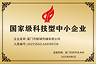 国家级科技型中小企业